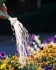 Landscaping Insurance, Irvine, Costa Mesa, Santa Ana, Orange County, CA
